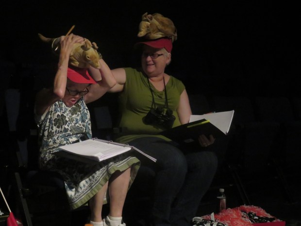 Armadillo hats are hard to manage, by the way.